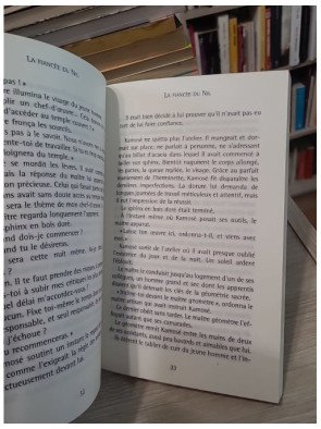 La Fiancée du Nil - Christian Jacq