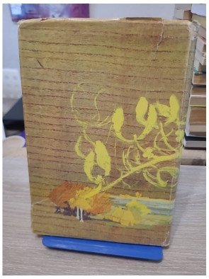 Samorix et le rameau d'or - Aventure légendaire illustrée