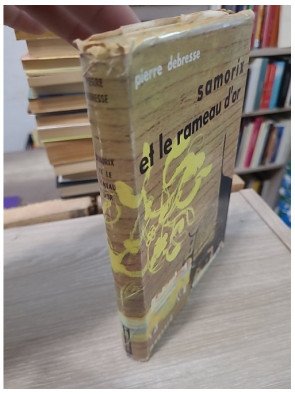 Samorix et le rameau d'or - Aventure légendaire illustrée