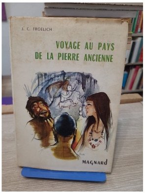 Voyage au pays de la pierre ancienne - Roman historique illustré