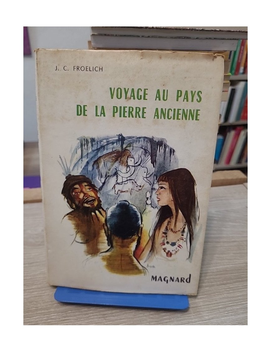 Voyage au pays de la pierre ancienne - Roman historique illustré