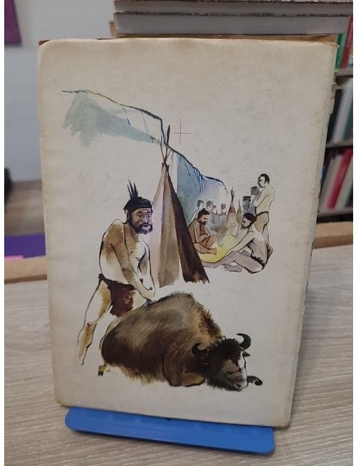 Voyage au pays de la pierre ancienne - Roman historique illustré