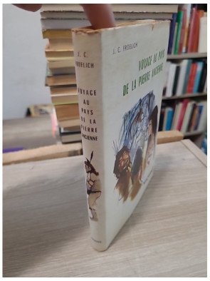 Voyage au pays de la pierre ancienne - Roman historique illustré