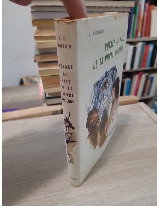 Voyage au pays de la pierre ancienne - Roman historique illustré