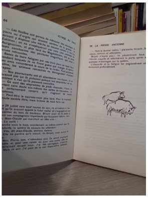 Voyage au pays de la pierre ancienne - Roman historique illustré