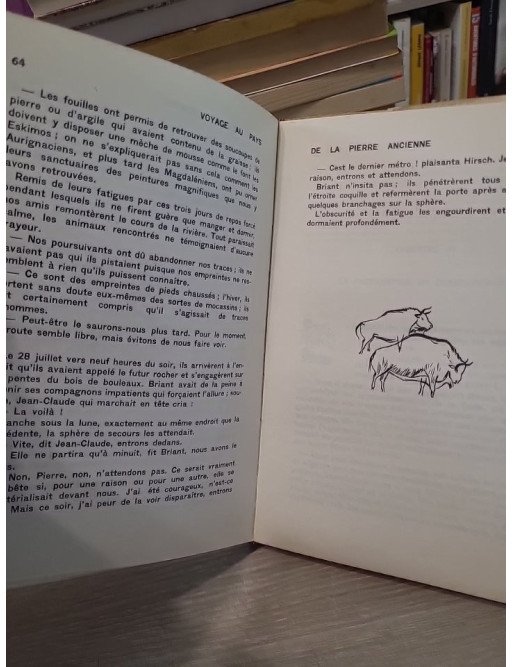 Voyage au pays de la pierre ancienne - Roman historique illustré