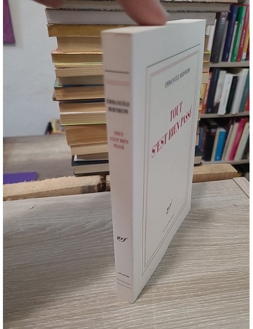 Tout s'est bien passé - Récit intime sur la fin de vie et le lien filial