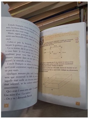 Le Trésor des Templiers - Mystère et aventure au cœur du Moyen Âge