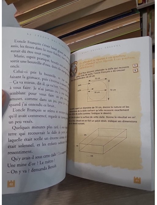 Le Trésor des Templiers - Mystère et aventure au cœur du Moyen Âge
