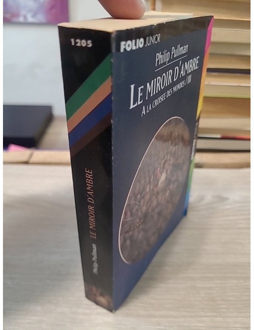 À la croisée des mondes, tome 3 - Le Miroir d'Ambre