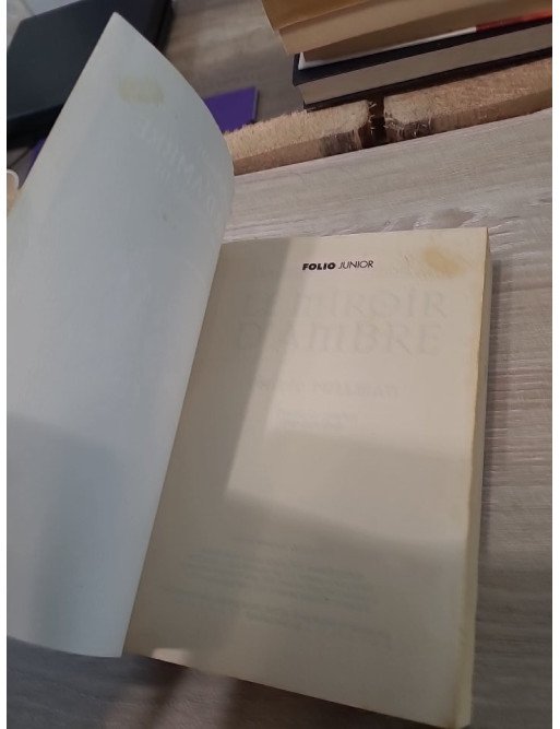 À la croisée des mondes, tome 3 - Le Miroir d'Ambre