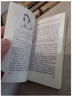 Ali Baba et les quarante voleurs - Contes des Mille et Une Nuits