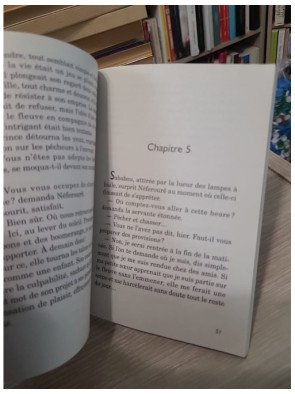 Le Roseau de Ptah - Aventure et romance en Égypte ancienne
