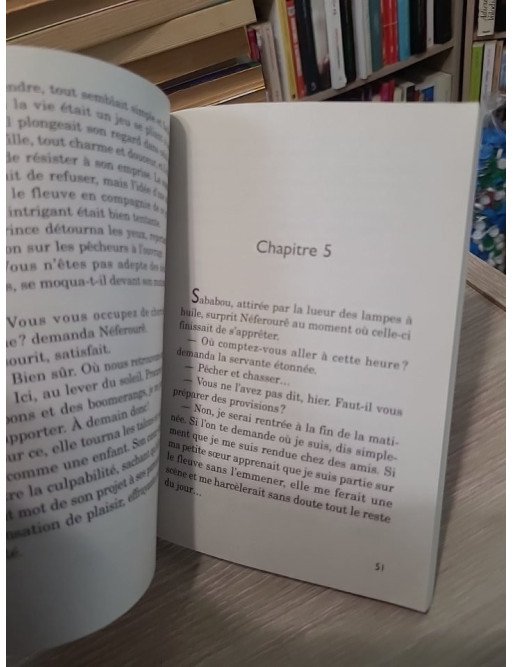 Le Roseau de Ptah - Aventure et romance en Égypte ancienne