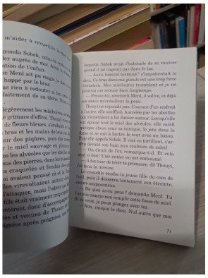 Ménès - Premier pharaon d'Égypte, épopée au temps des Deux Terres