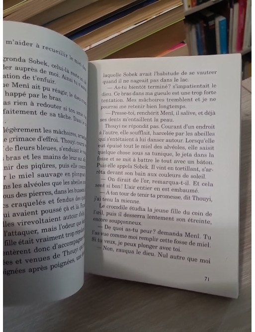 Ménès - Premier pharaon d'Égypte, épopée au temps des Deux Terres