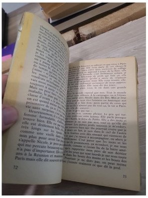 Des cornichons au chocolat - Journal d'une adolescente