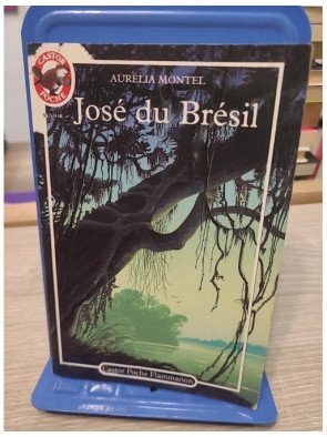 José du Brésil - Roman jeunesse Castor Poche