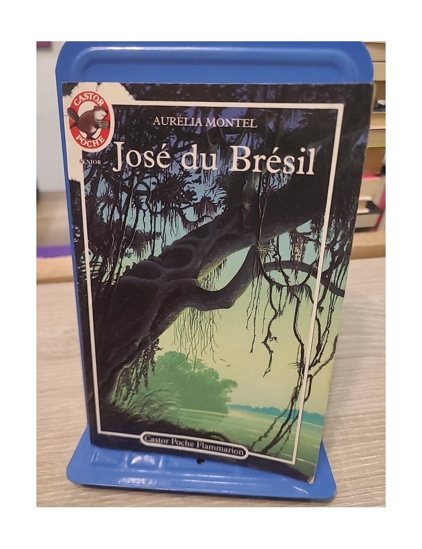 José du Brésil - Roman jeunesse Castor Poche