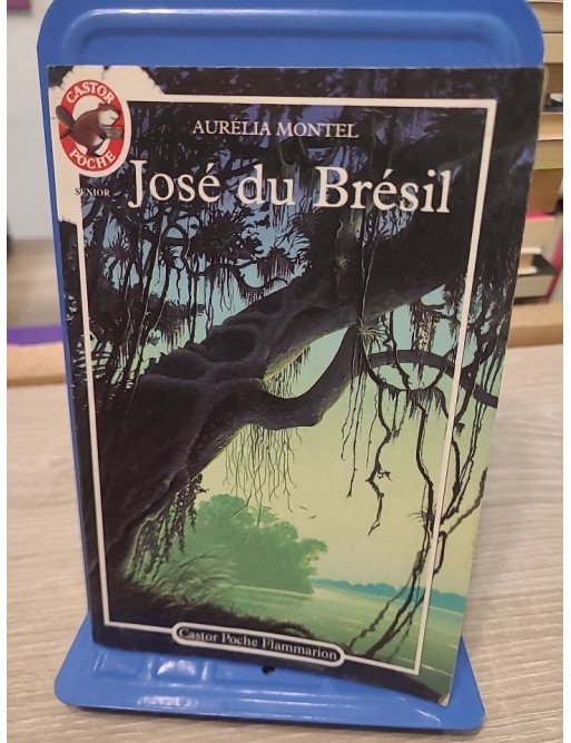 José du Brésil - Roman jeunesse Castor Poche