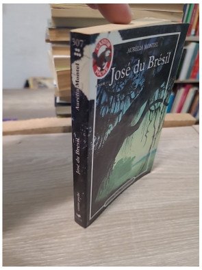 José du Brésil - Roman jeunesse Castor Poche