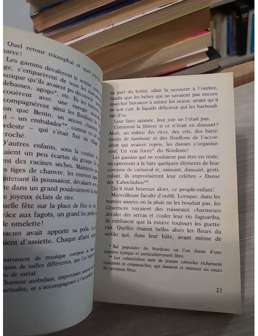 José du Brésil - Roman jeunesse Castor Poche