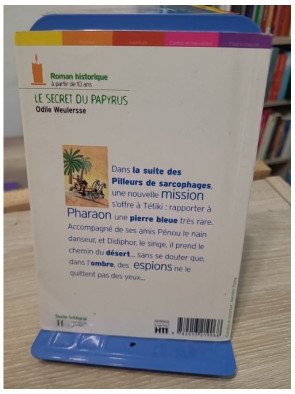 Le Secret du Papyrus - Roman historique jeunesse en Égypte ancienne