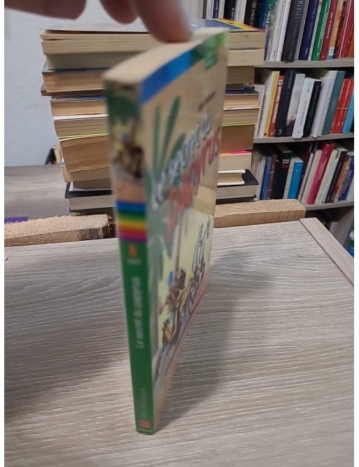 Le Secret du Papyrus - Roman historique jeunesse en Égypte ancienne