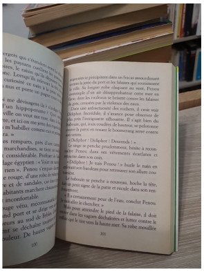 Le Secret du Papyrus - Roman historique jeunesse en Égypte ancienne
