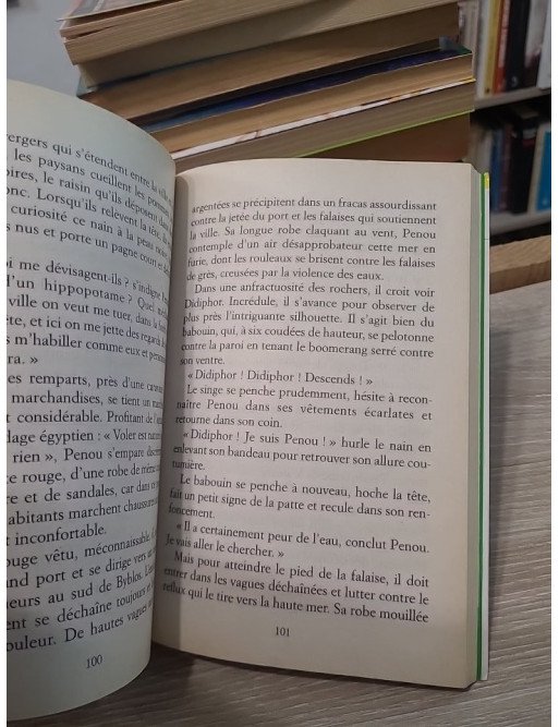 Le Secret du Papyrus - Roman historique jeunesse en Égypte ancienne