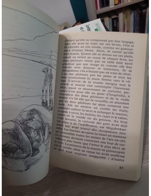 Au pays du grand condor - Contes et légendes d'Amérique du Sud