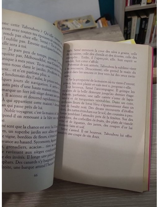 Fantômes d'Égypte - Roman jeunesse en Égypte ancienne