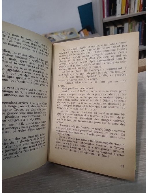 Sans famille - Édition cartonnée Cerise