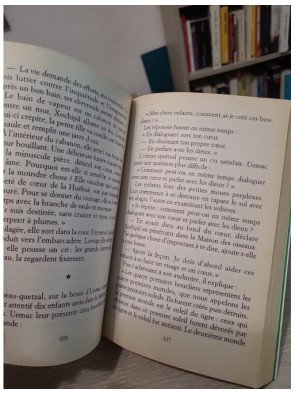 L'Aigle de Mexico - Roman historique jeunesse sur l'empire aztèque