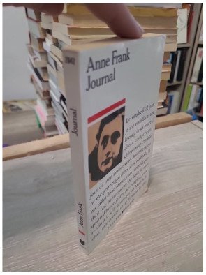 Journal - A. Frank