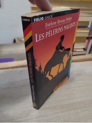 Les Pèlerins maudits - Une enquête de Garin Trousseboeuf au Moyen Âge