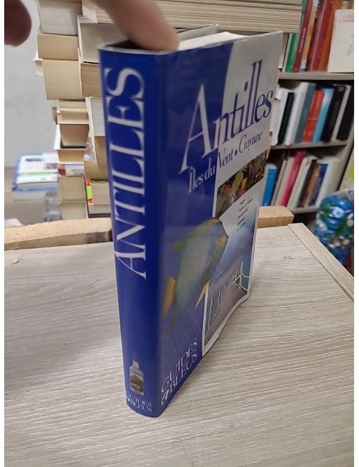 Antilles - Îles du Vent - Guyane - Guide Bleu