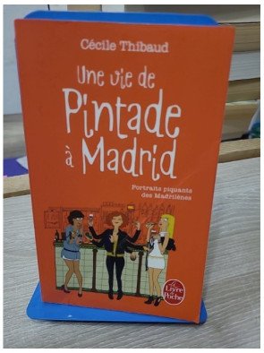 Une vie de pintade à Madrid