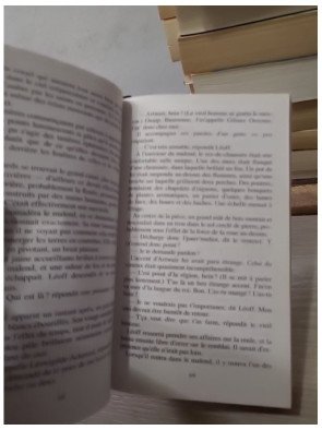 Les Royaumes d'épines et d'os - Tome 2 : Le Prince charnel