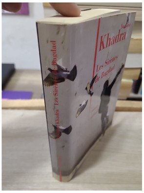 Les sirènes de Bagdad