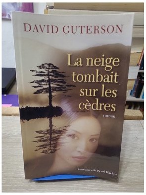 La neige tombait sur les cèdres