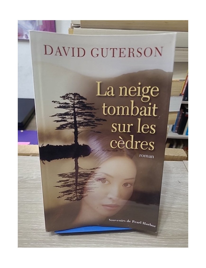 La neige tombait sur les cèdres