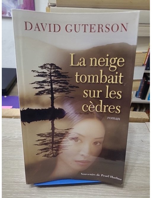 La neige tombait sur les cèdres