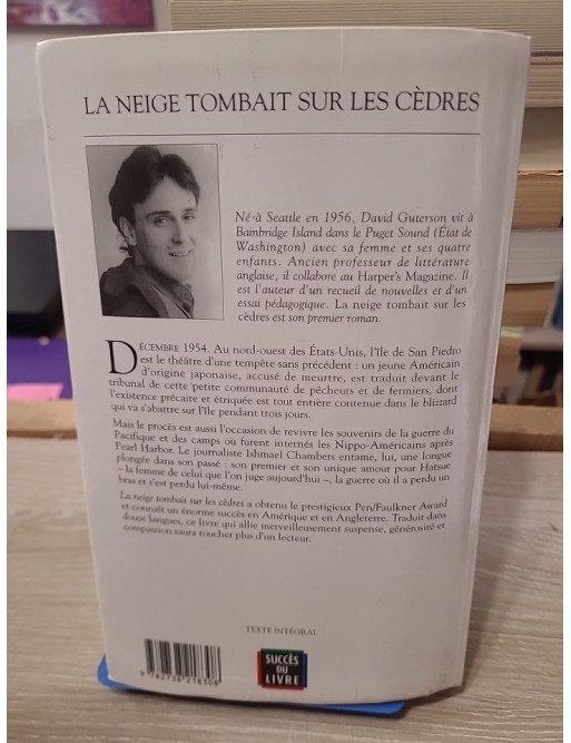 La neige tombait sur les cèdres