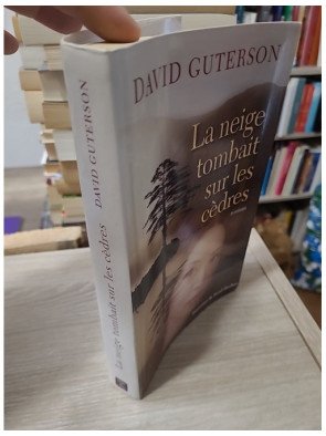 La neige tombait sur les cèdres