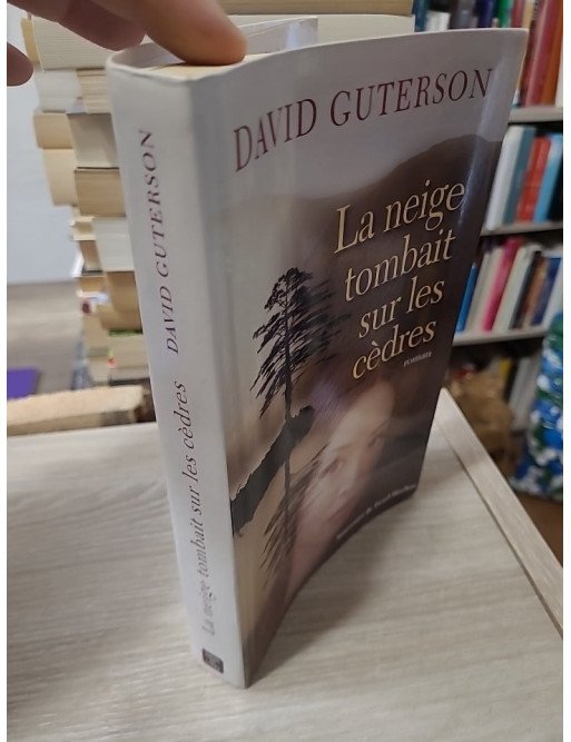 La neige tombait sur les cèdres