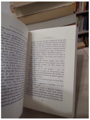 Week-End de chasse à la mère - Prix Femina 1996