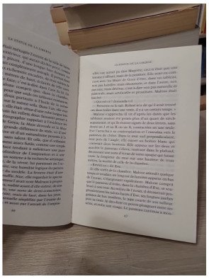 La Statue de la Liberté. Roman noir