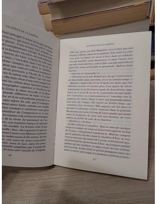 La Statue de la Liberté. Roman noir