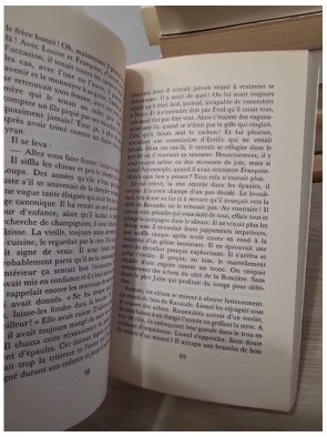 Le pré aux corbeaux